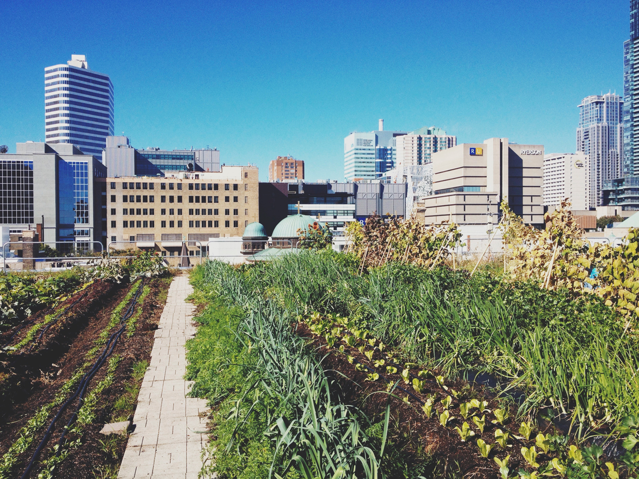 Toronto Metropolitan University - George Vari Engineering